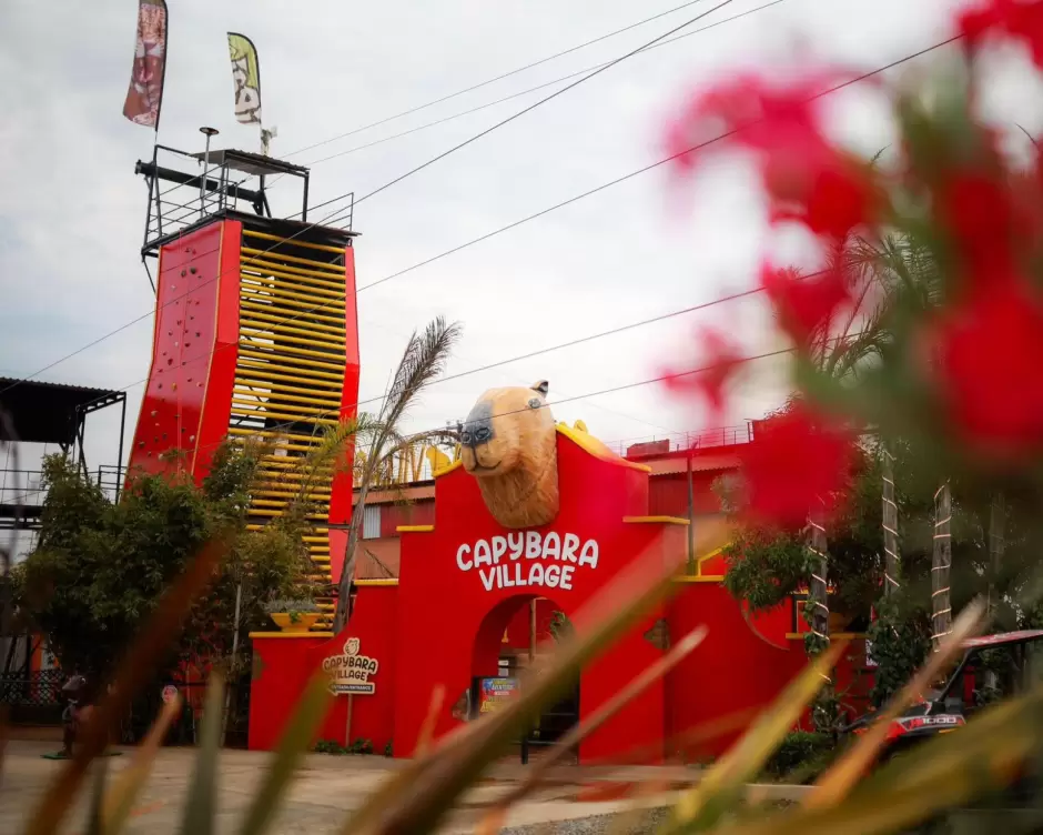 Encabeza gobernadora Marina del Pilar inauguracin de Capybara Village como un espacio familiar y de conservacin animal en Ensenada