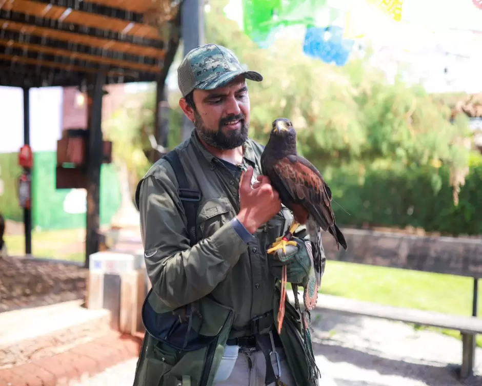 Encabeza gobernadora Marina del Pilar inauguracin de Capybara Village como un espacio familiar y de conservacin animal en Ensenada
