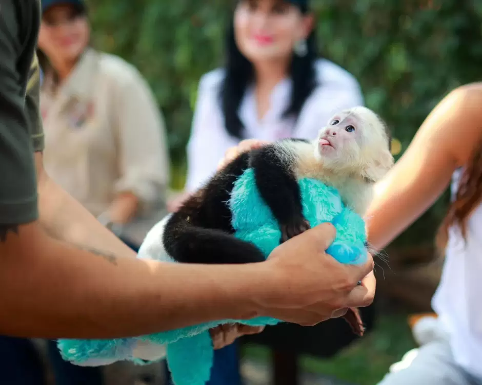 Encabeza gobernadora Marina del Pilar inauguracin de Capybara Village como un espacio familiar y de conservacin animal en Ensenada