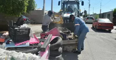 Jornada de descacharre