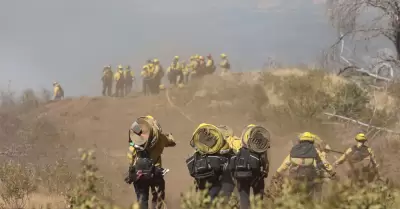 Incendios forestales