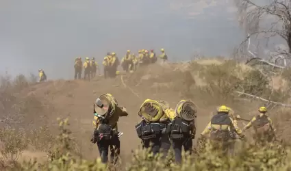 Incendios forestales