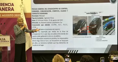 Detenidos por agresin a periodista