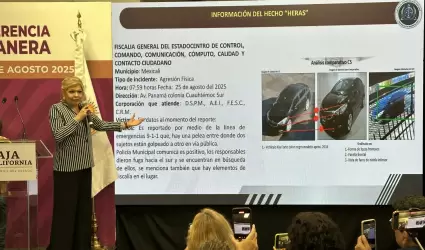 Detenidos por agresin a periodista