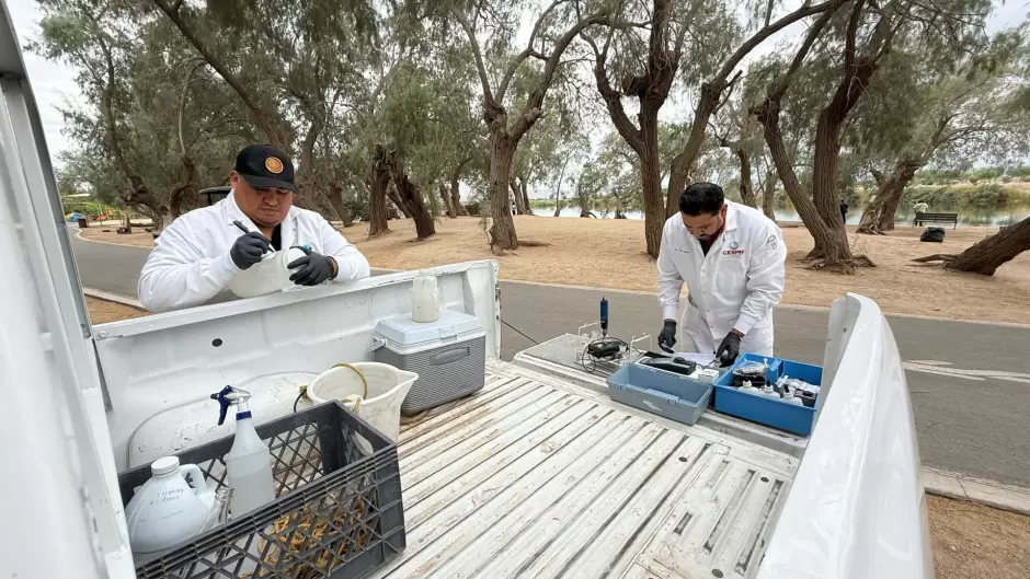 Vuelco térmico en lagunas de Mexicali