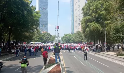 Marcha de priistas