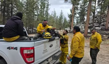 Liquidados los incendios del "Complejo San Pedro Mrtir" y "Rosa de Castilla" en