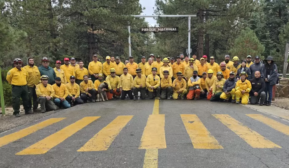 Liquidados los incendios del "Complejo San Pedro Mrtir" y "Rosa de Castilla" en Sierra de Jurez