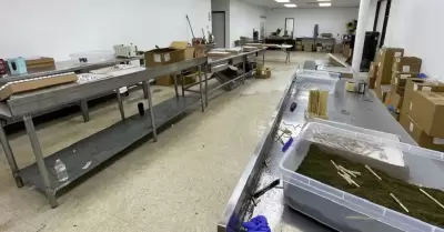 DEA destaca arrestos