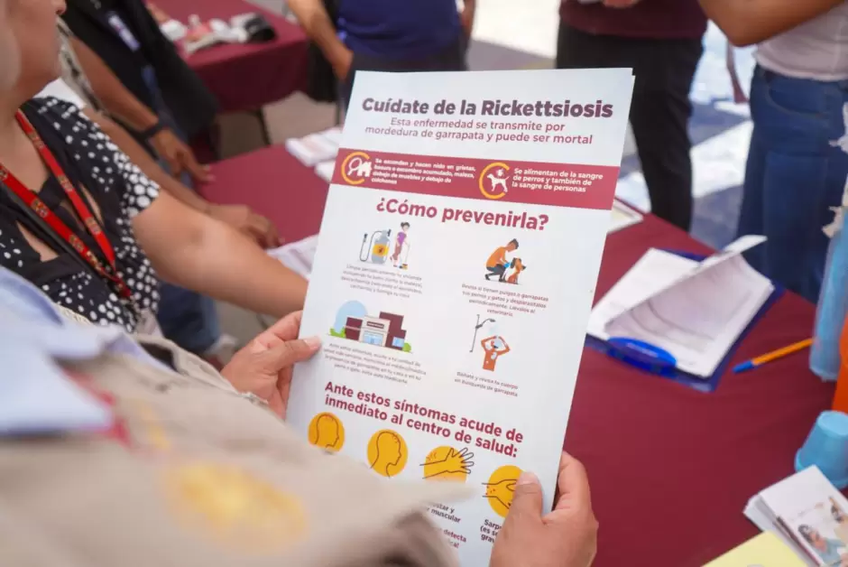 Acciones contra rickettsiosis