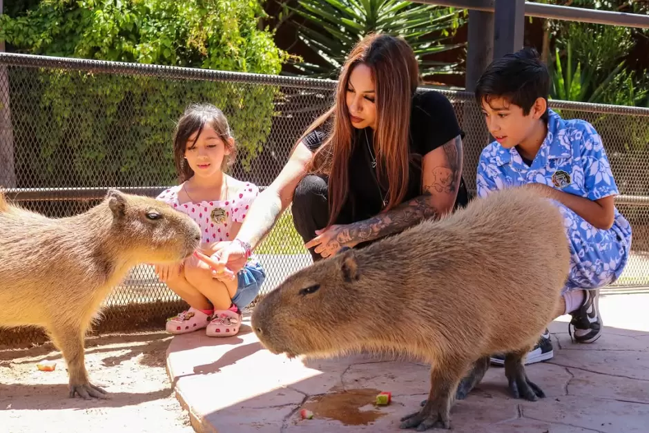 PaiPai Ecoturism Park