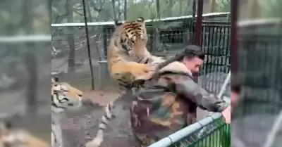 Tigre intenta atacar a mujer en parque turstico de Mazamitla