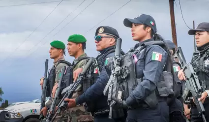 Operativo agentes policas