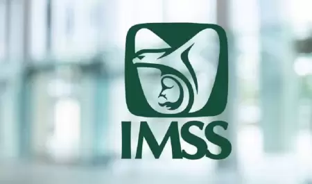 IMSS