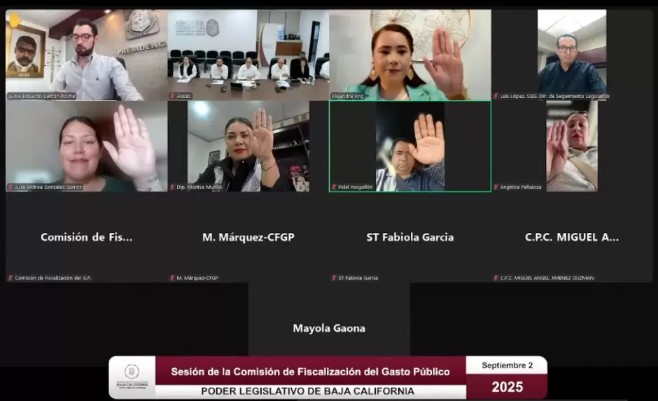 Comisin de Fiscalizacin