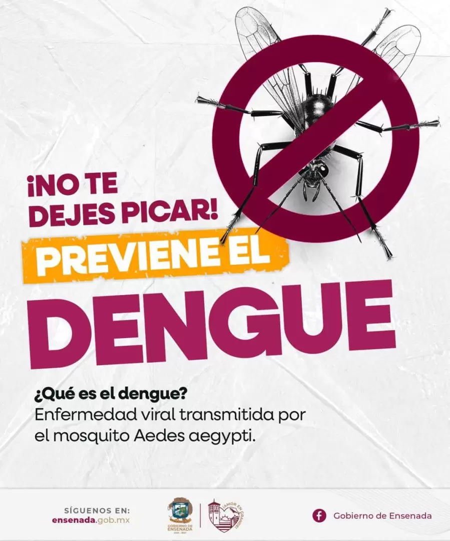Prevencin del dengue
