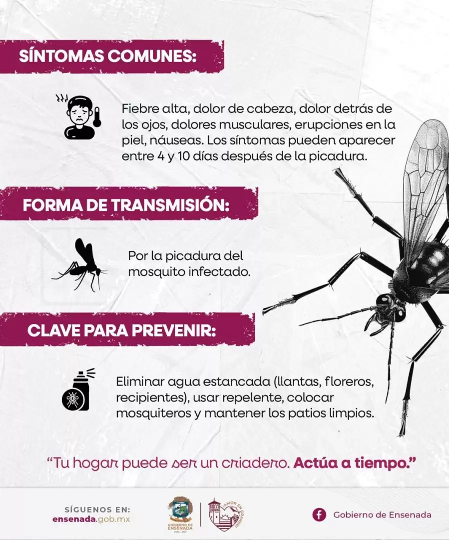 Prevencin del dengue