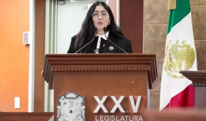 diputada Michel Snchez Allende