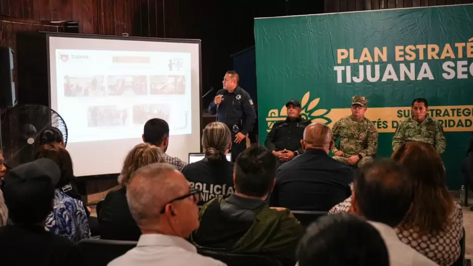 Subestrategia de Seguridad en Delegacin Centro