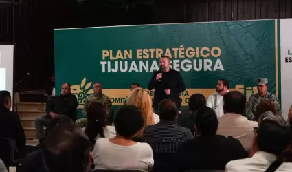 Subestrategia de Seguridad en Delegacin Centro