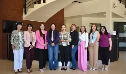 Institutos Municipales de la Mujer