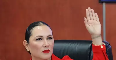 Diputada Araceli Geraldo