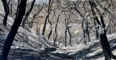 Incendio en el Condado de San Diego