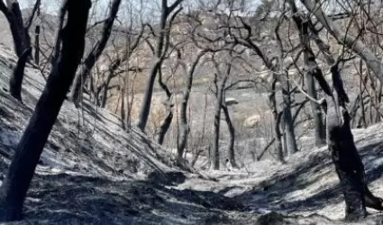 Incendio en el Condado de San Diego