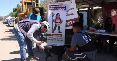 Acciones contra la Rickettsia en el Altiplano