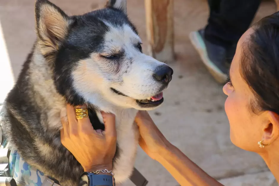 Nueva sede del Santuario Animal Mily