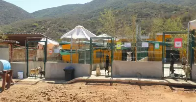 Nueva sede del Santuario Animal Mily