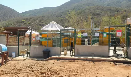 Nueva sede del Santuario Animal Mily