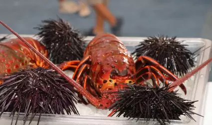 Temporada de pesca de langosta roja del Pacfico