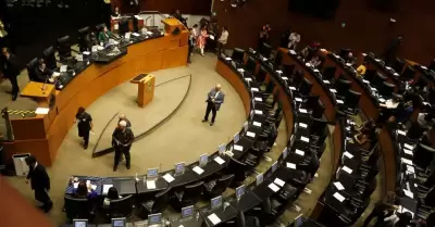 Senado de la Repblica