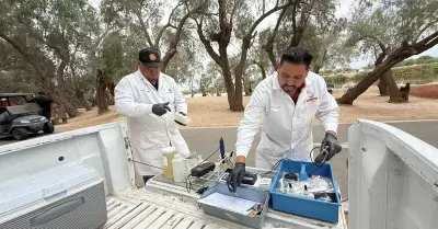 Pruebas especializadas en laboratorio de control de procesos