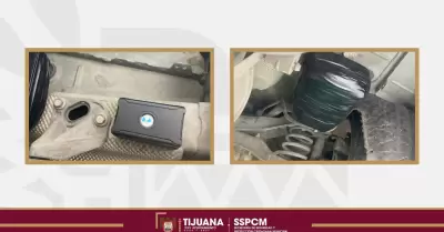 Posible caso de 'mula ciega' en la colonia Santa Rosa