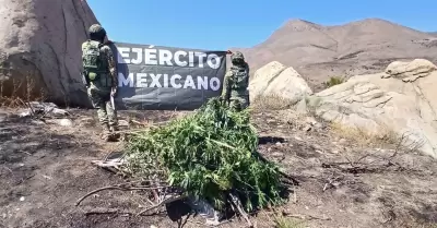 Ejrcito Mexicano