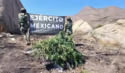 Ejrcito Mexicano