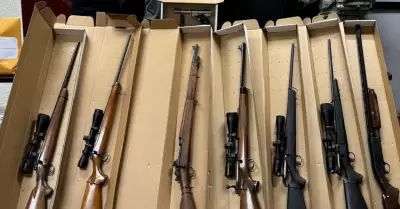 Decomiso de armas de fuego