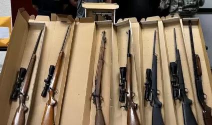 Decomiso de armas de fuego
