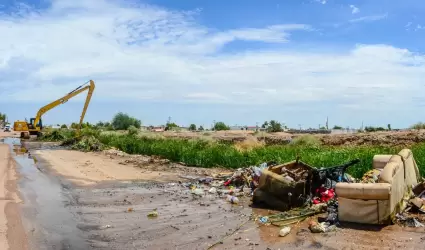 Tirar basura en las calles