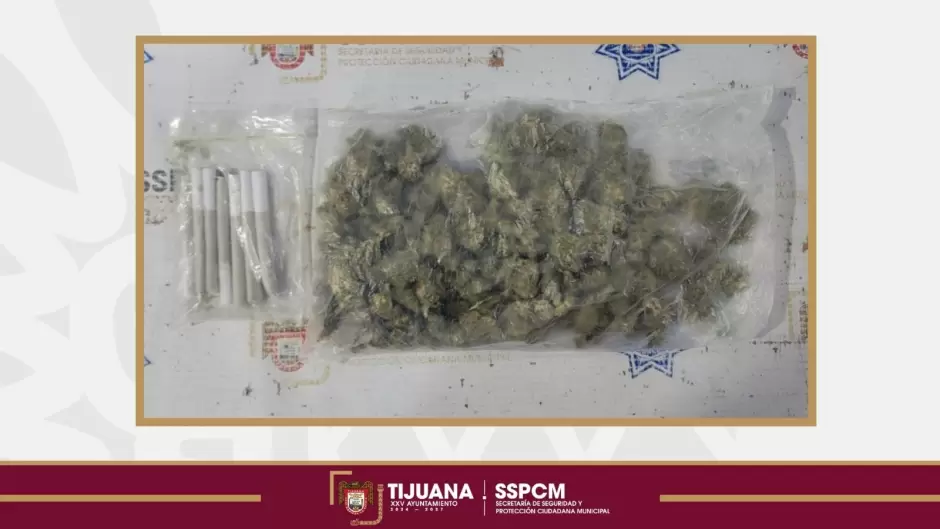 Menores de edad detenidos en posesin de droga