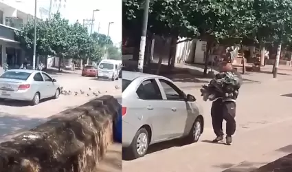 Cazador de palomas en Iguala, Guerrero