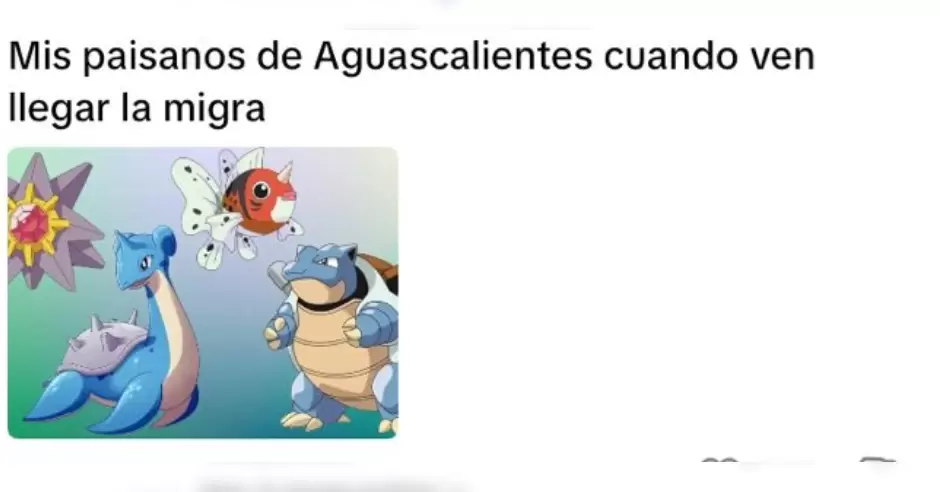 Comentarios de redes sociales por video de ICE