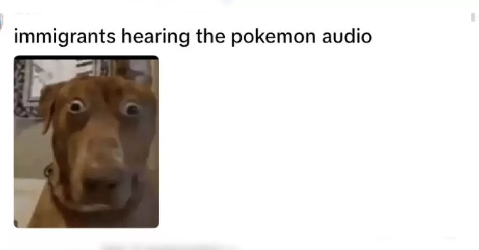 Comentarios de redes sociales por video de ICE