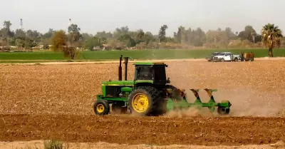 Siembra del Otoo-Invierno 2025-2026 en el Valle de Mexicali