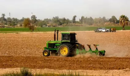 Siembra del Otoo-Invierno 2025-2026 en el Valle de Mexicali