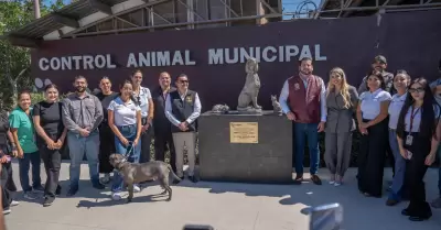 Rehabilitacin del Centro de Control Animal de Tijuana