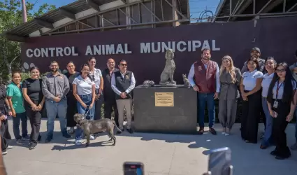 Rehabilitacin del Centro de Control Animal de Tijuana