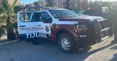 Resguardan a dos menores que haban huido de sus domicilios